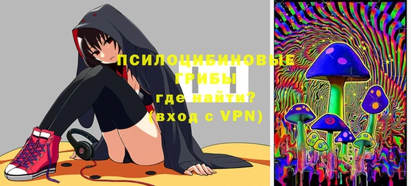 винт Алзамай