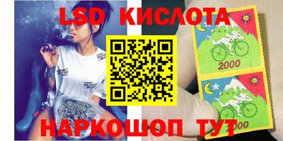 гашик Кандалакша