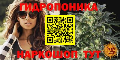 гашик Кандалакша
