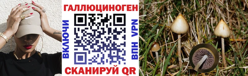 Галлюциногенные грибы Psilocybe Кызыл