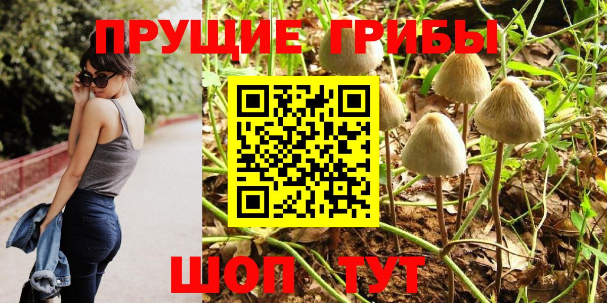 Галлюциногенные грибы ЛСД  Псилоцибиновые грибы прущие грибы  наркошоп  Вход с VPN  Кызыл 
